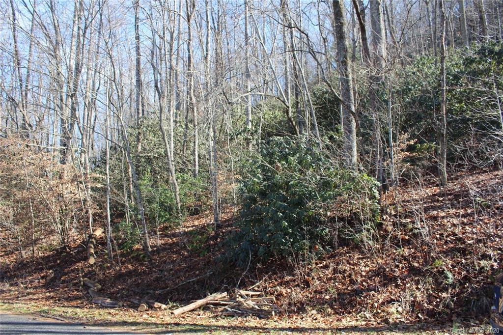 1063 Kilpatrick Road, Unit 5 Hendersonville, NC 28739 - Photo 8 of 13 Gallery Image 8