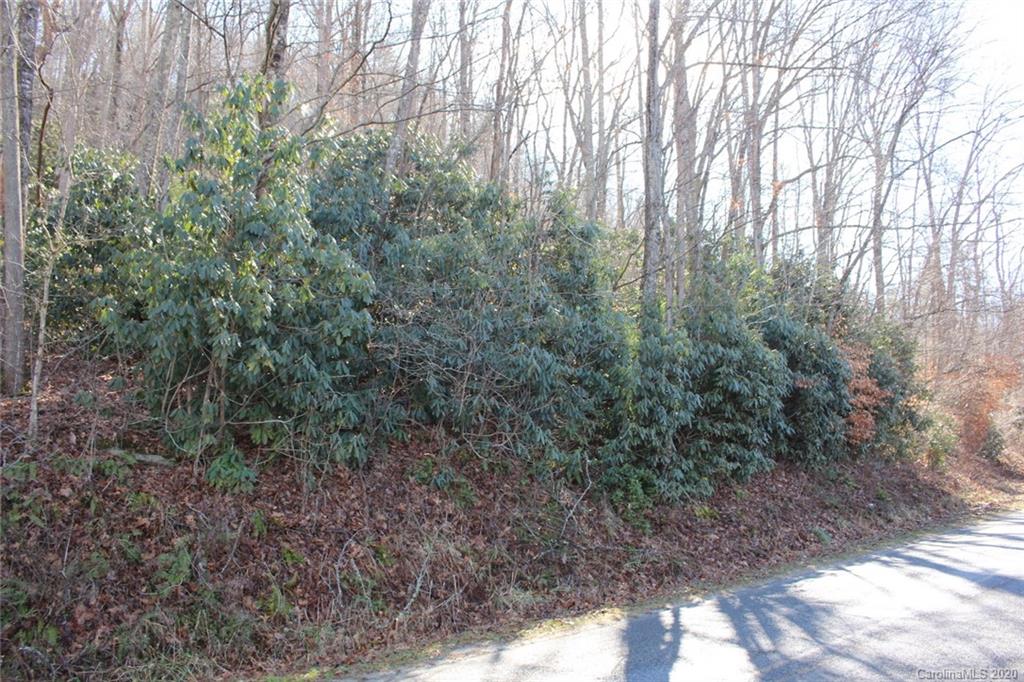 1063 Kilpatrick Road, Unit 5 Hendersonville, NC 28739 - Photo 9 of 13 Gallery Image 9