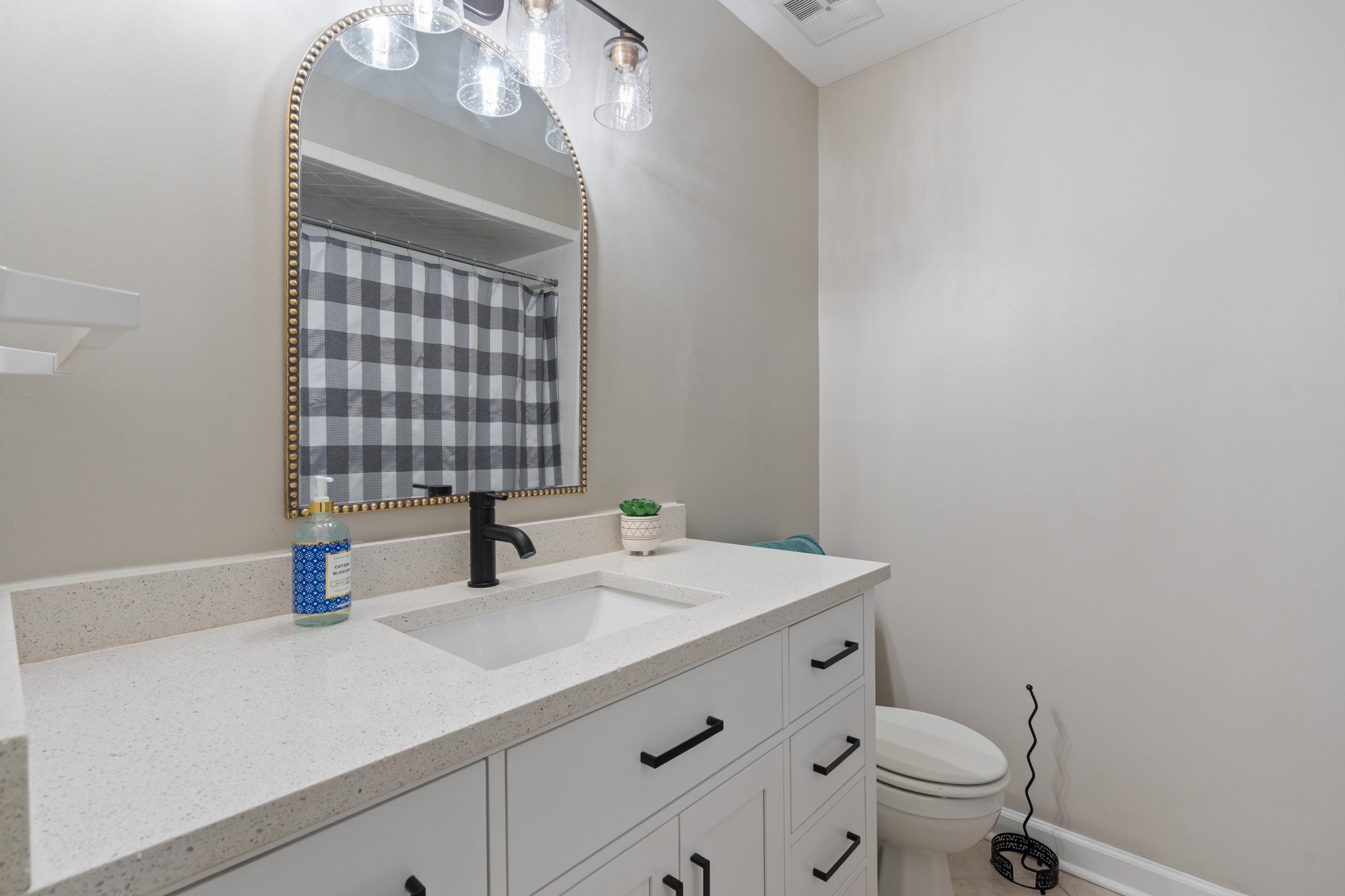 301 Dove Valley Road Collierville, TN 38017 - Photo 18 of 32 a bathroom with a sink a toilet and a mirror