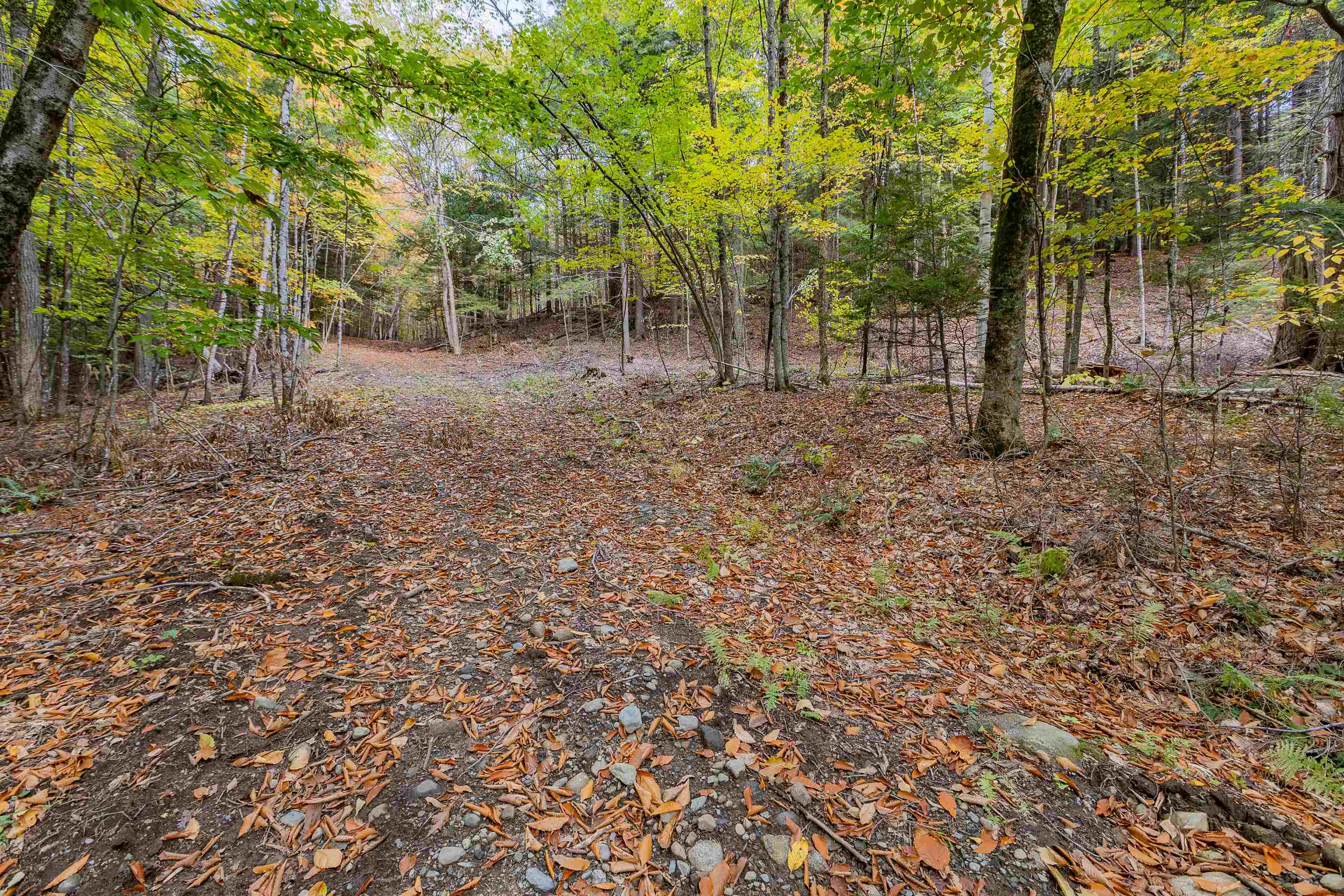 62 Stevens Road Hanover, NH 03755 - Photo 8 of 17