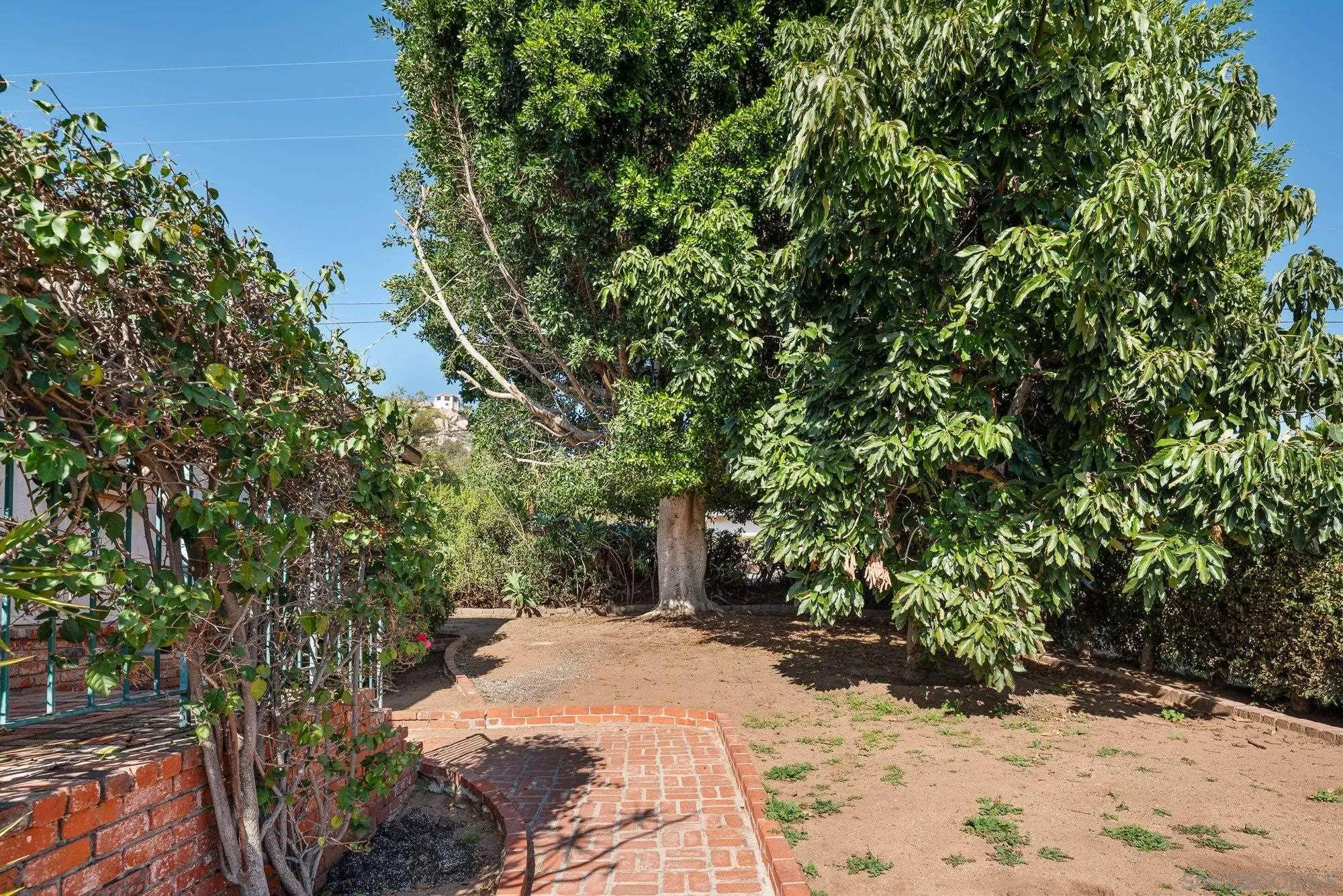 1999 Valley Rim Road El Cajon, CA 92019 - Photo 5 of 41 a view of a yard with plants and trees