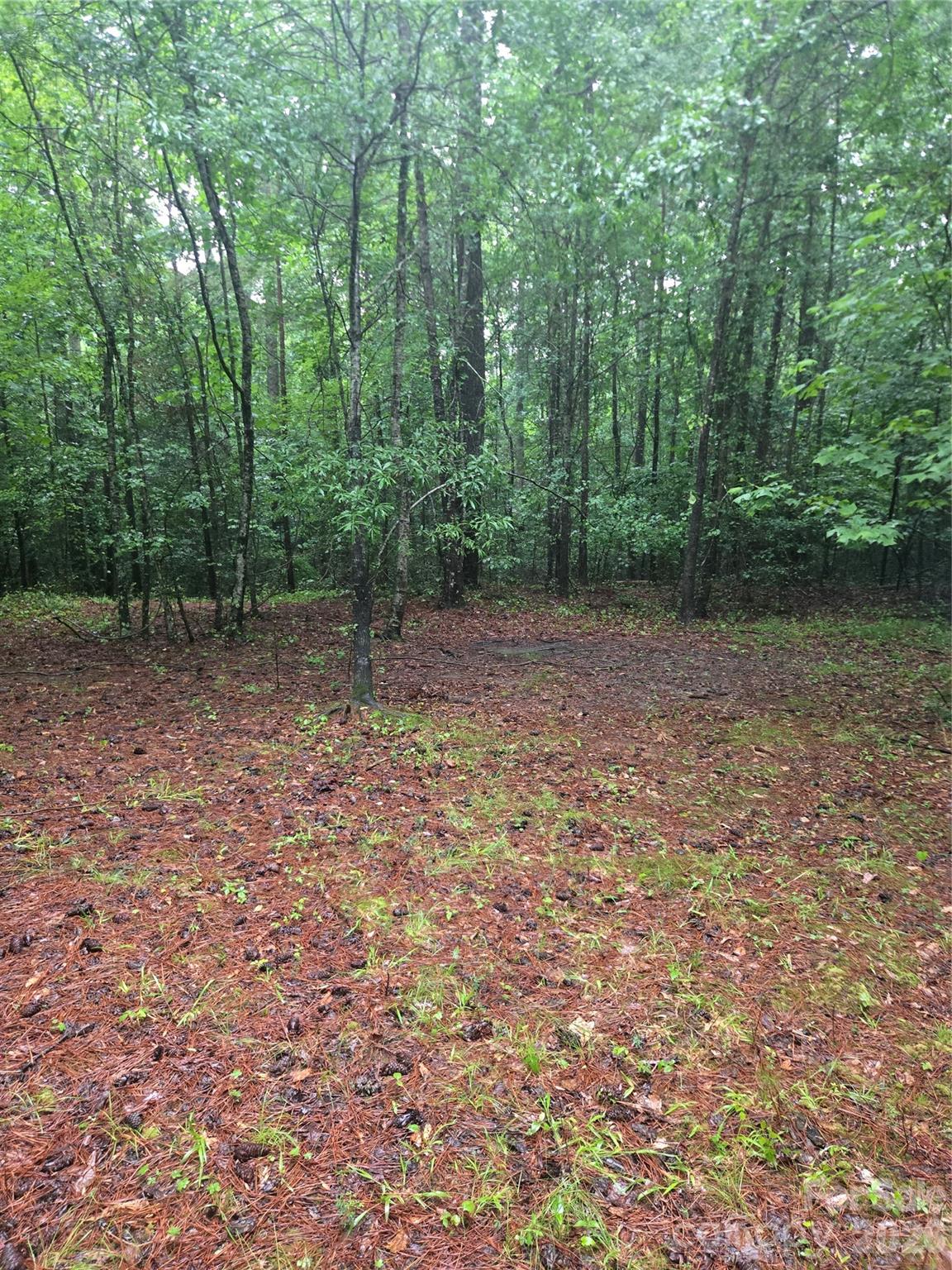 0 Mooresboro Road Mooresboro, NC 28114 - Photo 9 of 17 a view of a yard with trees in the background