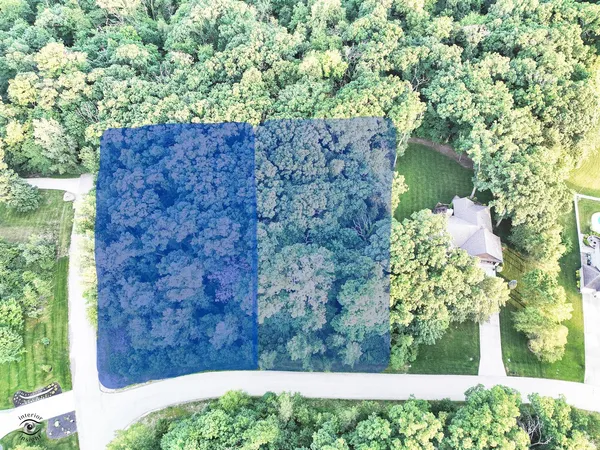 a view of a garden