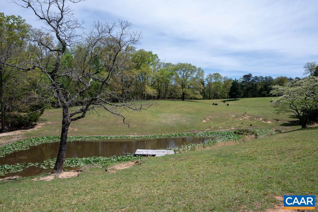 631 Old Rectory Lane Fork Union, VA 23055 - Photo 5 of 65 a view of a field of grass and trees