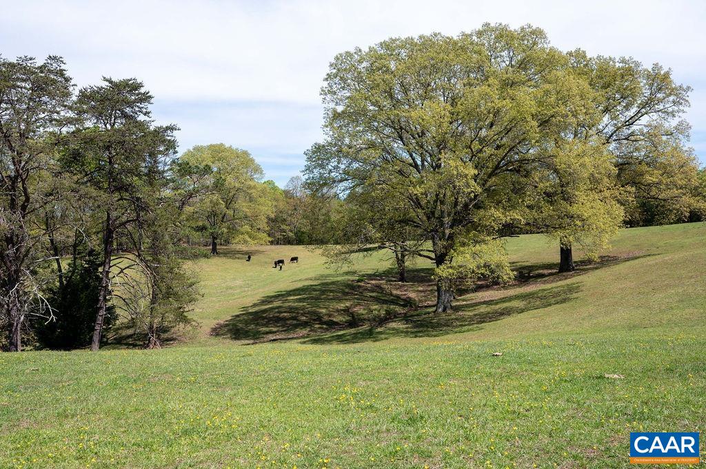 631 Old Rectory Lane Fork Union, VA 23055 - Photo 57 of 65 a view of a yard with an trees
