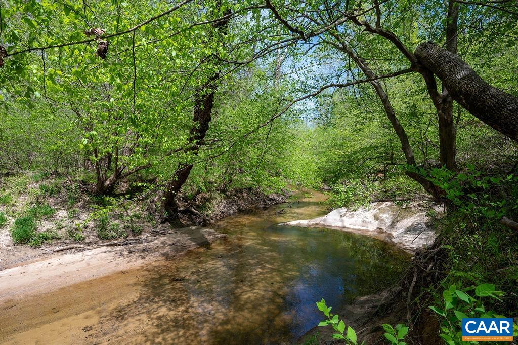 631 Old Rectory Lane Fork Union, VA 23055 - Photo 60 of 65 a view of a yard with plants and a large trees