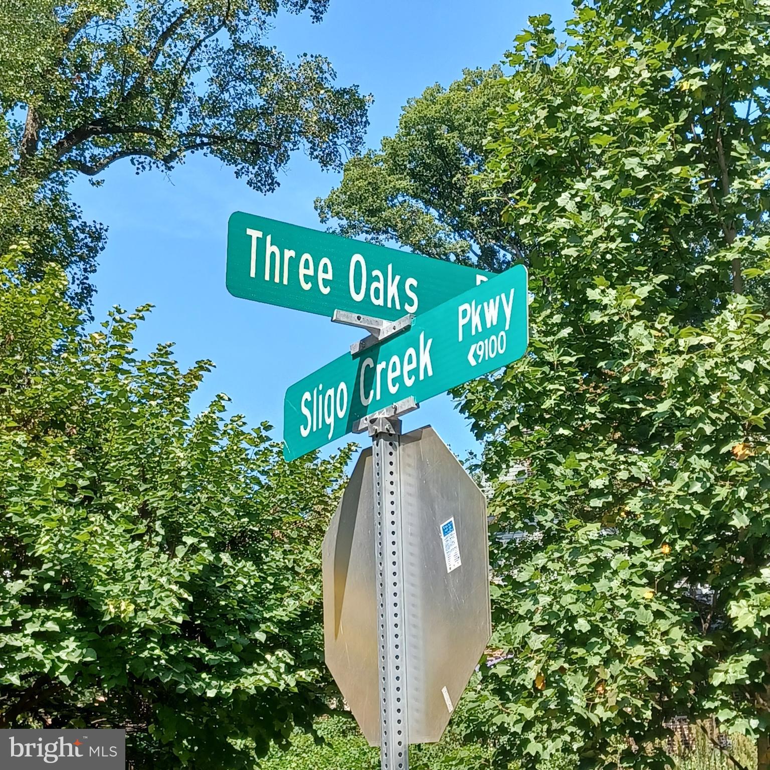 9212 Three Oaks Drive Silver Spring, MD 20901 - Photo 58 of 63