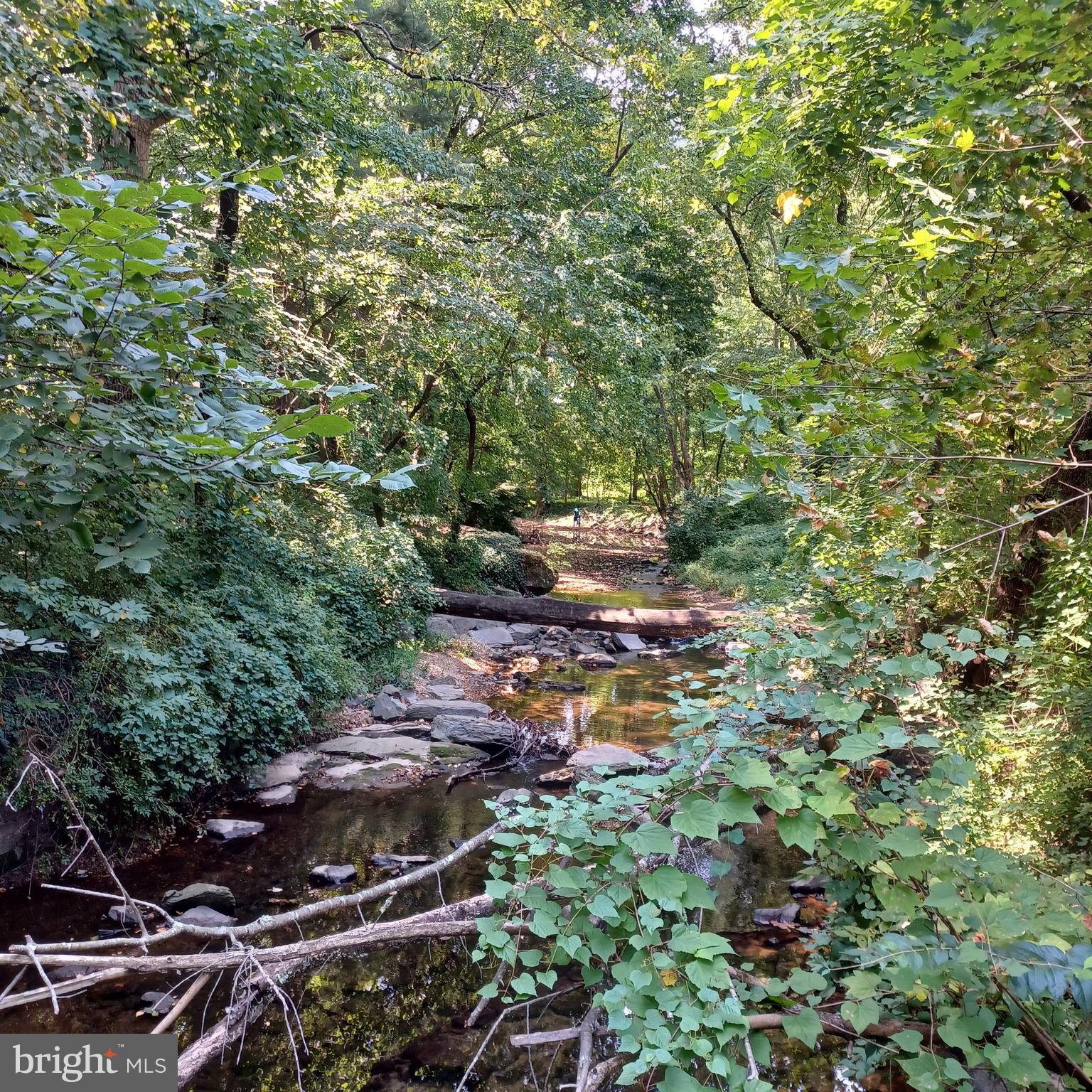 9212 Three Oaks Drive Silver Spring, MD 20901 - Photo 60 of 63