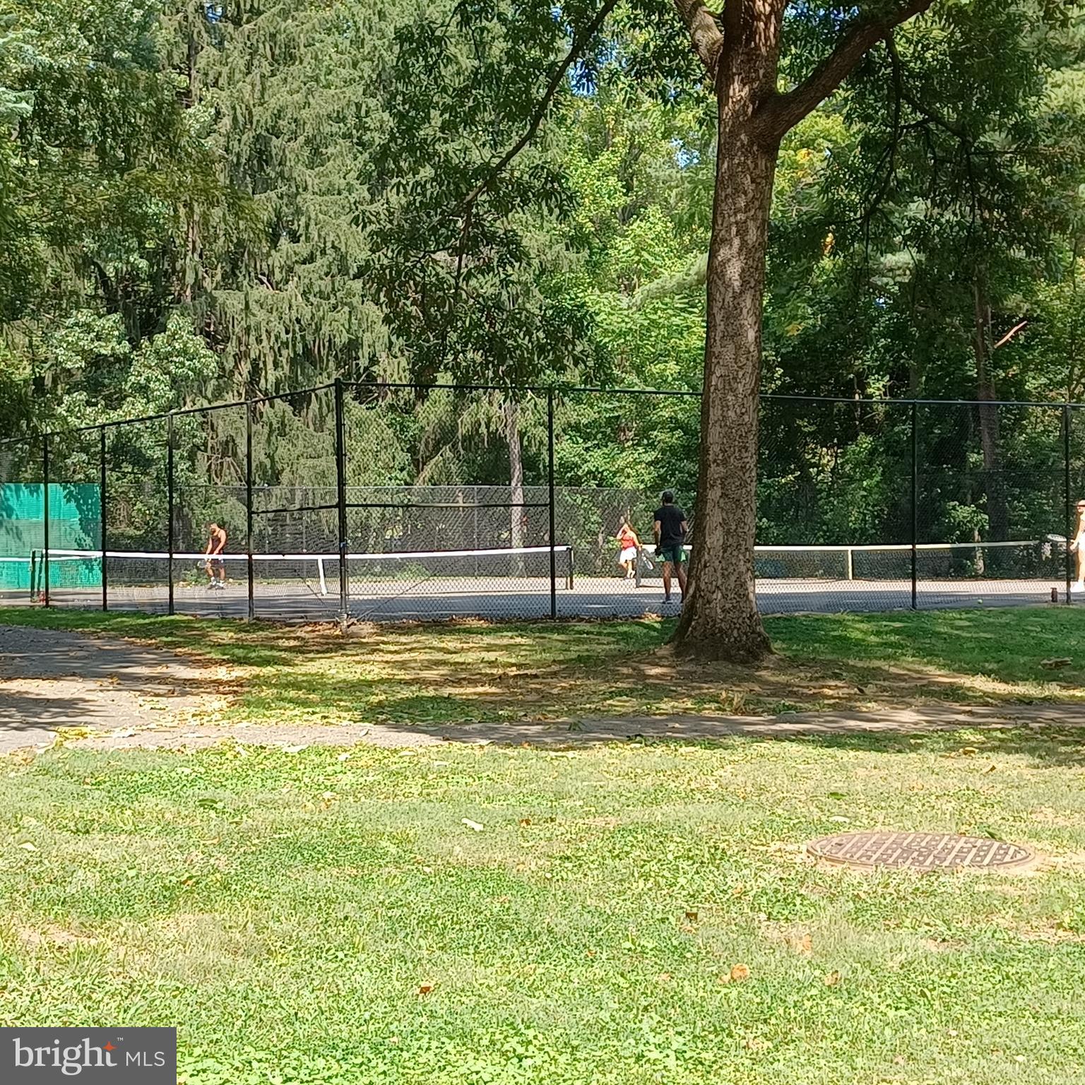 9212 Three Oaks Drive Silver Spring, MD 20901 - Photo 61 of 63