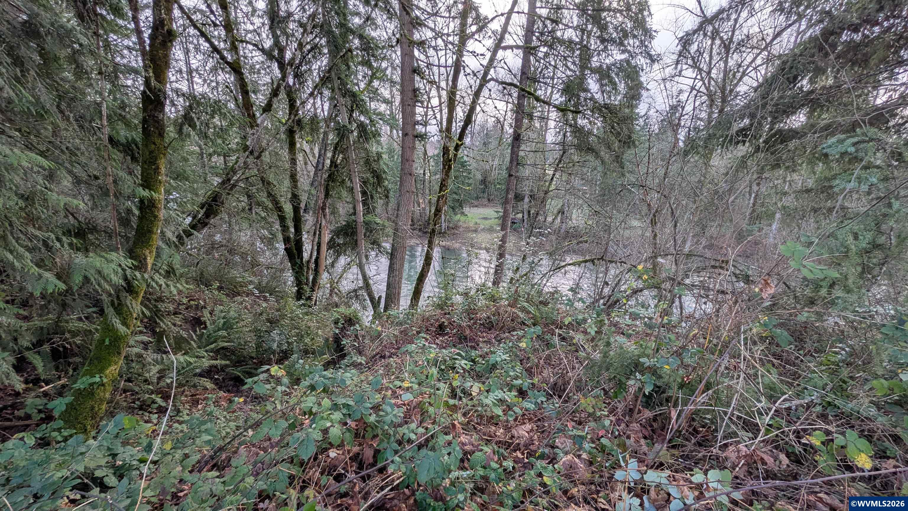 16150 South Riverview Road Mulino, OR 97042 - Photo 4 of 20 Gallery Image 4