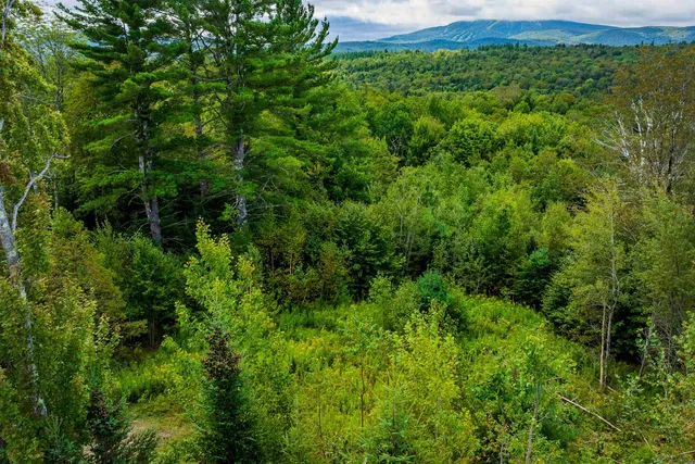 $400,000 | 248 French Hollow Road, Unit 1, Winhall, VT 05340
