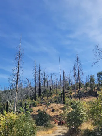 $18,700 | 6998 Pine Road, Clearlake Oaks, CA 95423