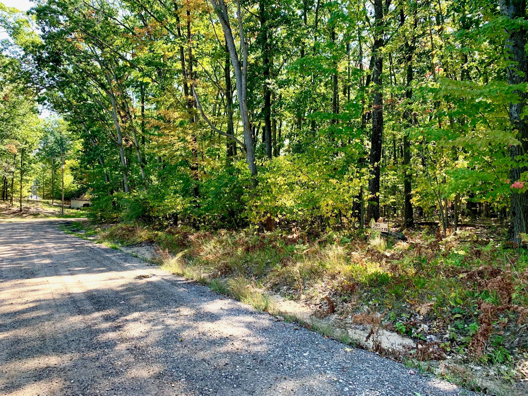 305 Summit Road Roscommon, MI 48653 - Photo 8 of 14 Gallery Image 8