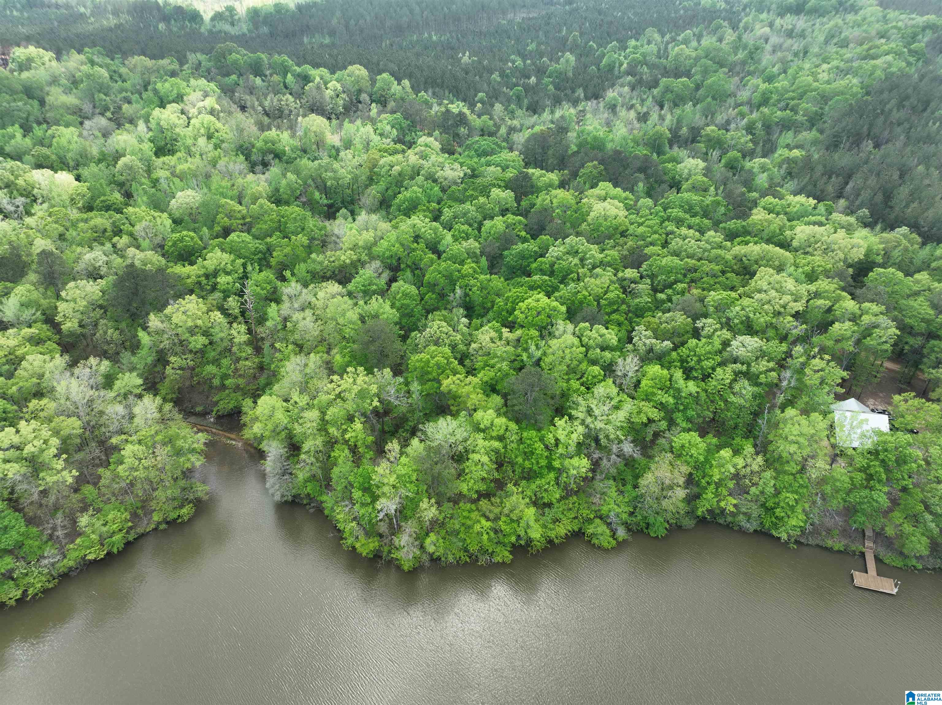 0 County Road 225, Unit 1 Minter, AL 36761 - Photo 6 of 9