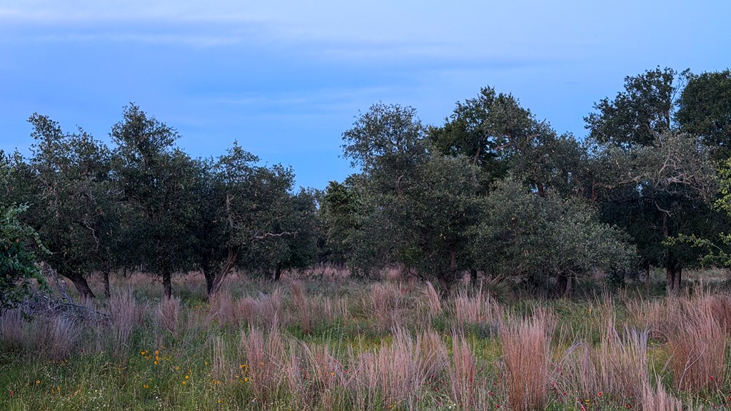 Lot #9 Slate Rock Road, Unit 9 Fredericksburg, TX 78624 - Photo 16 of 16