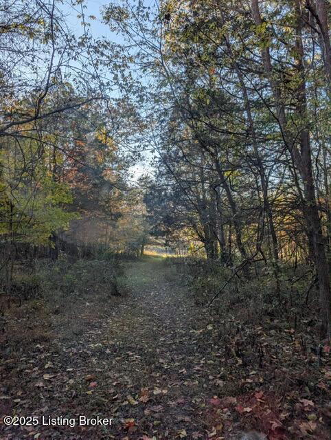 522 Harper Valley Road Cave City, KY 42127 - Photo 12 of 20 att.yOKcckmOsOSMbCQwSIw_8SPlH_a1DLE1ZotR