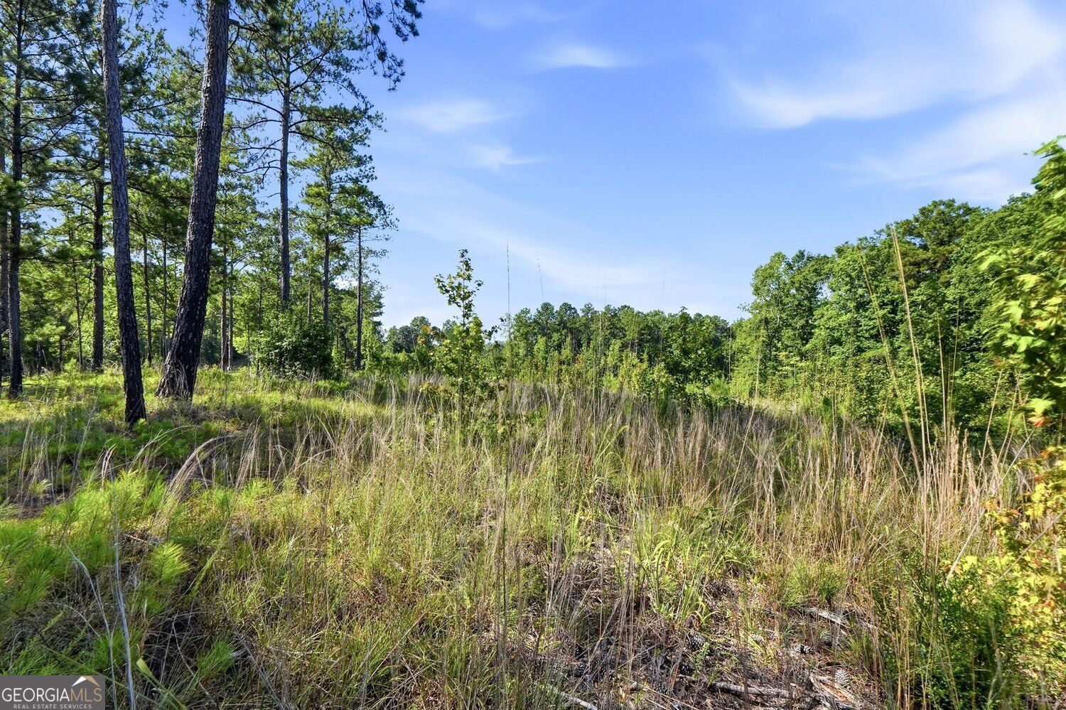 680 Giles Road Forsyth, GA 31029 - Photo 2 of 3 Gallery Image 2