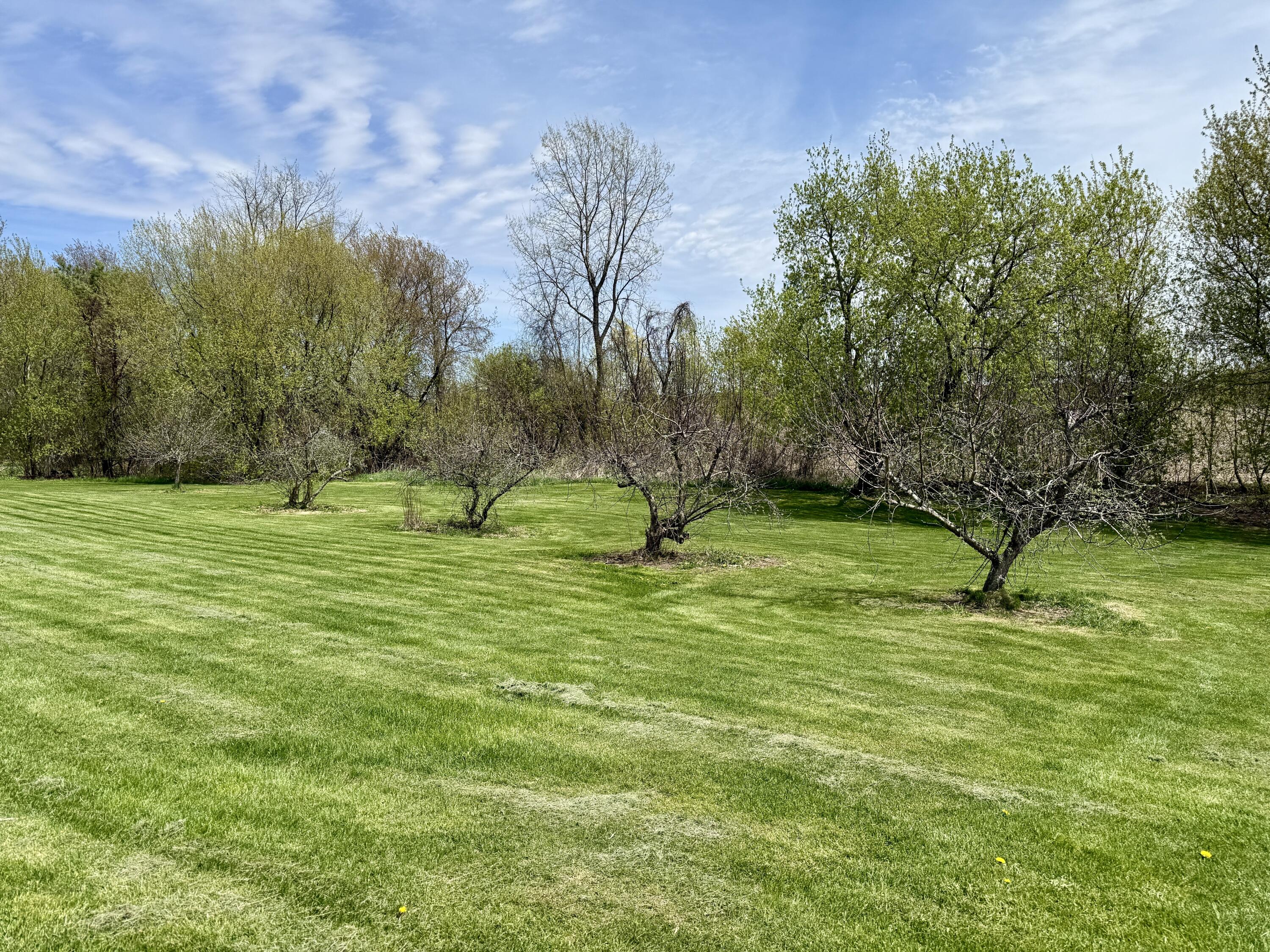 596 Dubois Road Champlain, NY 12919 - Photo 38 of 51 Apple Trees