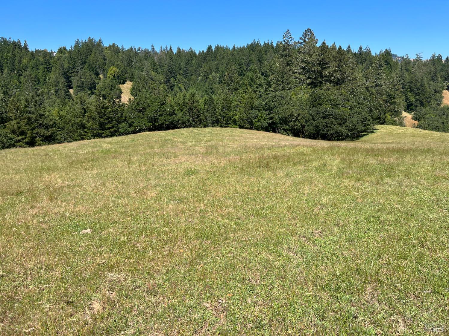 38555 Hauser Bridge Road Cazadero, CA 95421 - Photo 60 of 93