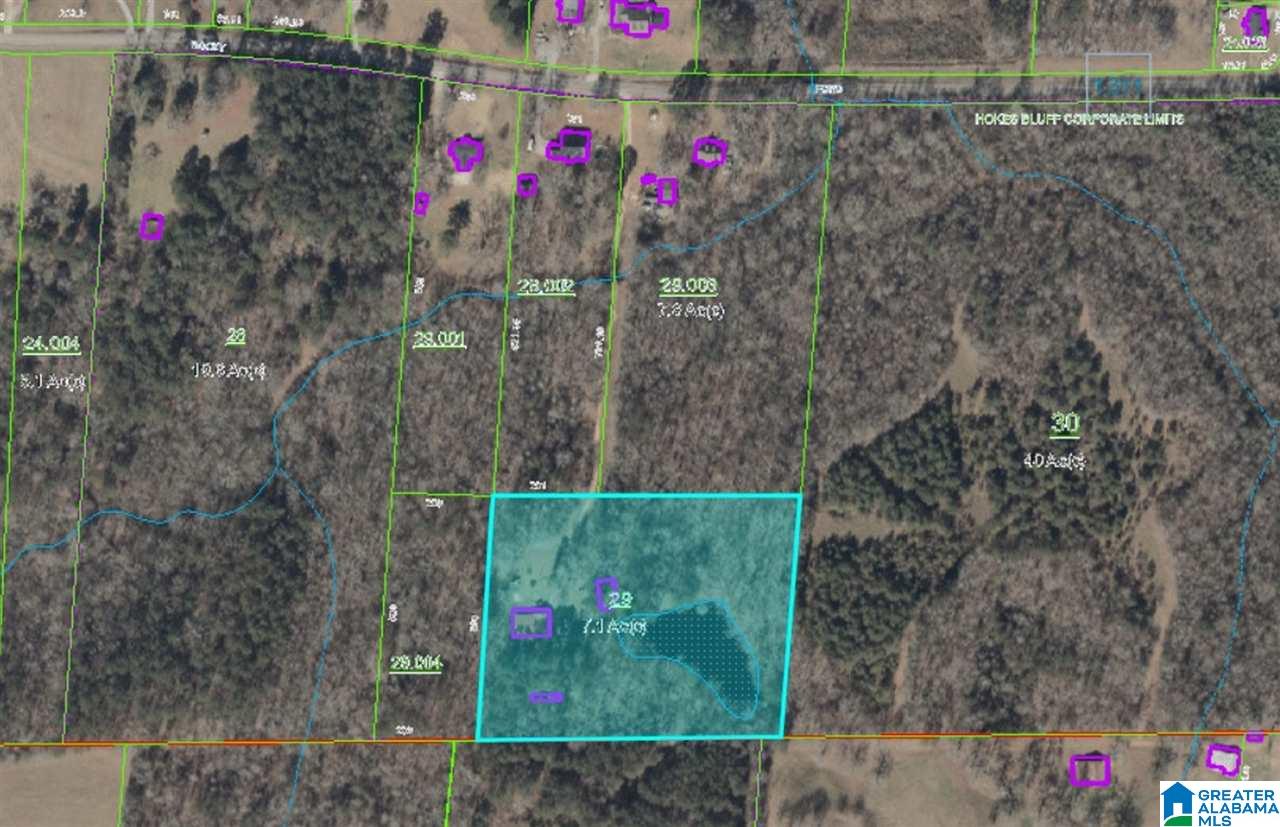 6695 Rocky Ford Road Gadsden, AL 35903 - Photo 21 of 22 Gallery Image 21