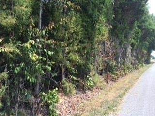 4 Hack Brown Road Franklin, KY 42134 - Photo 4 of 4 Gallery Image 4