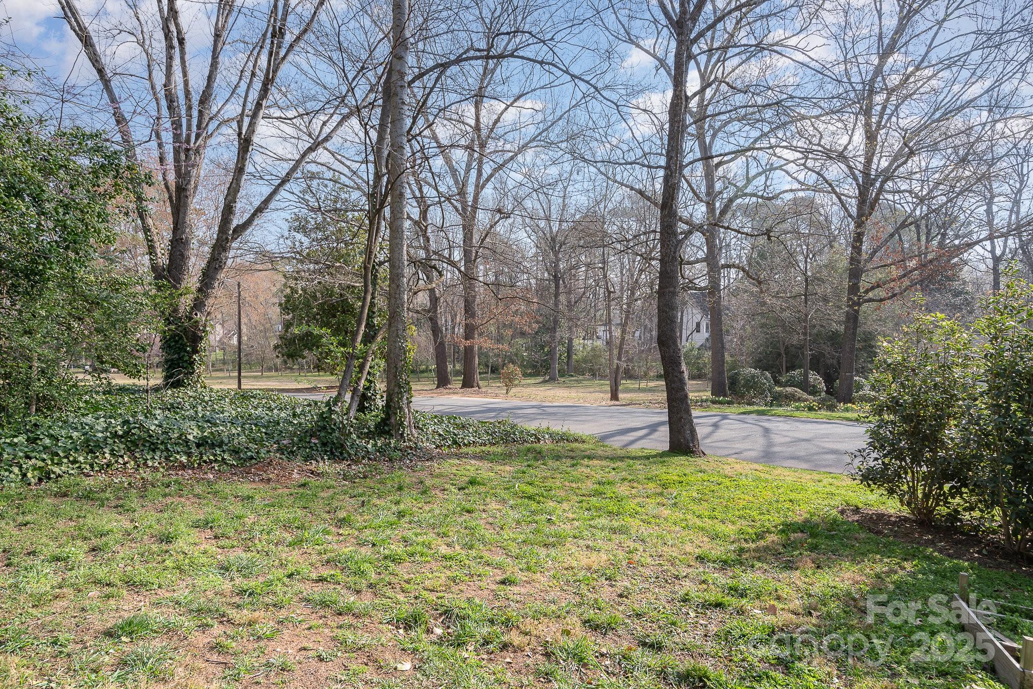 4833 Addison Drive Charlotte, NC 28211 - Photo 41 of 47 a view of a yard with a tree