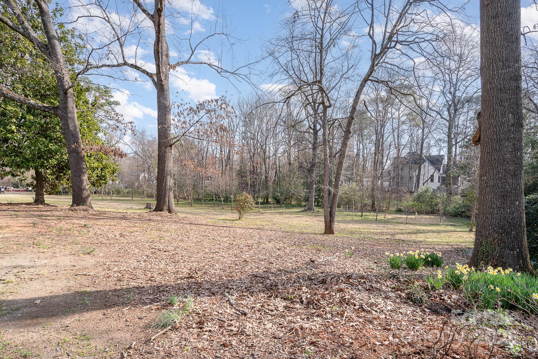 4833 Addison Drive Charlotte, NC 28211 - Photo 42 of 47 a view of a yard with trees