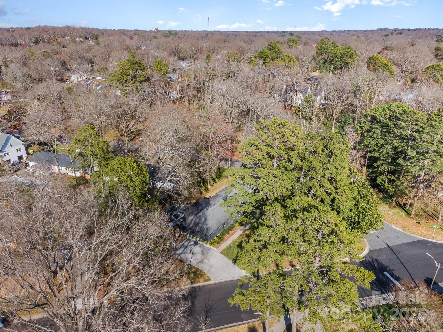 4833 Addison Drive Charlotte, NC 28211 - Photo 46 of 47 a view of a yard with a tree