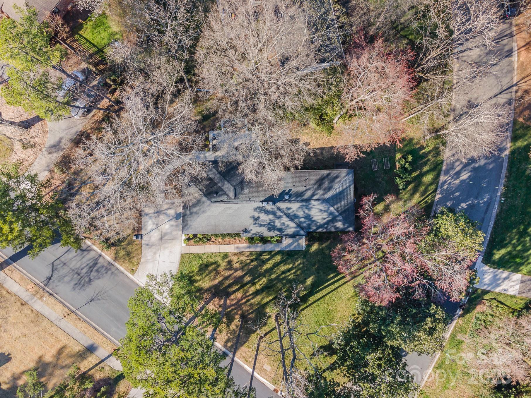 4833 Addison Drive Charlotte, NC 28211 - Photo 47 of 47 a view of a yard with plants and large trees
