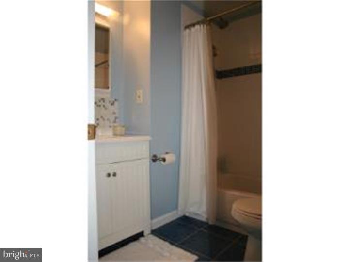 265 Ellis Road Havertown, PA 19083 - Photo 15 of 21 Bathroom