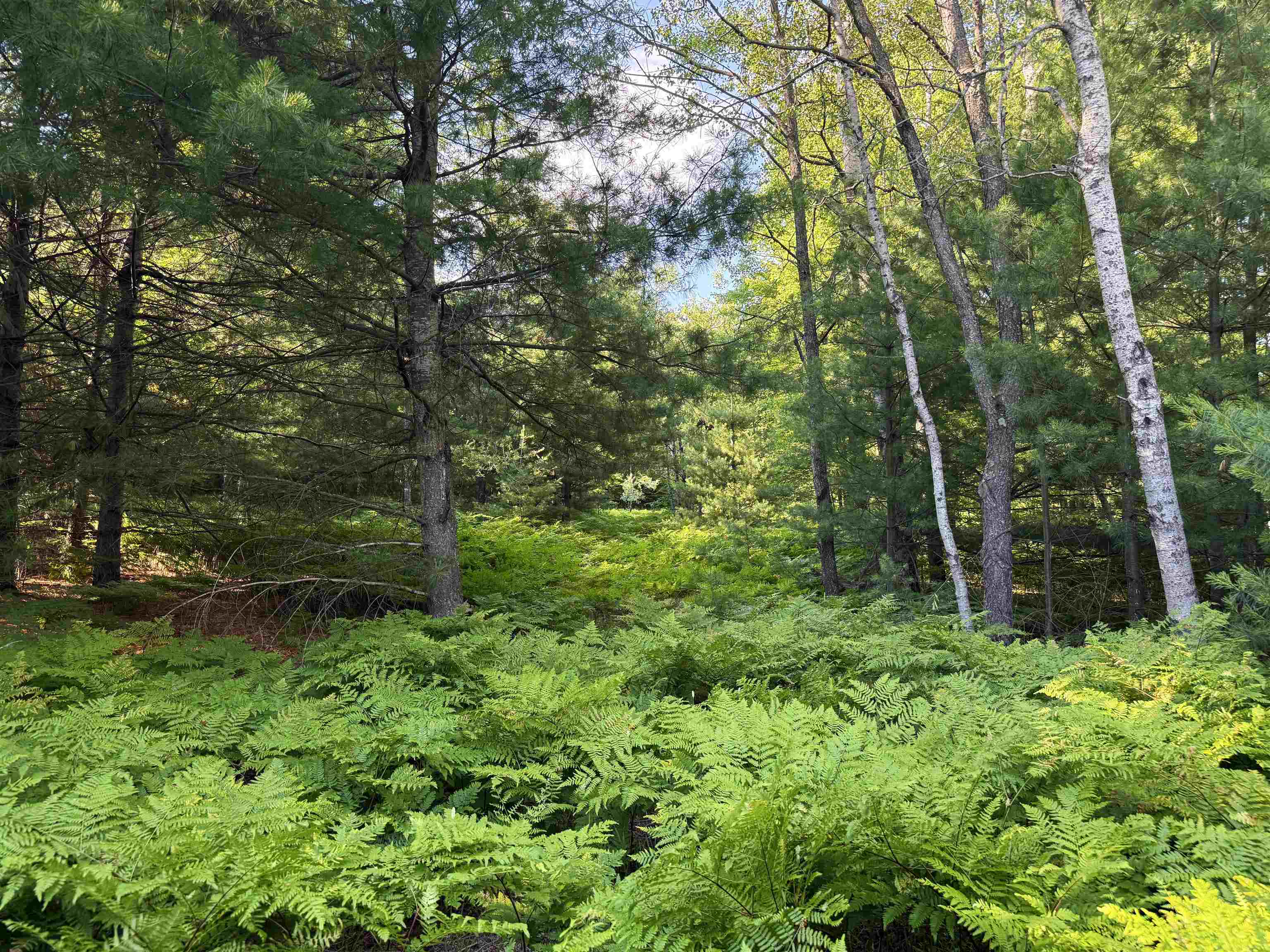 1783 West Sharon Road Fife Lake, MI 49633 - Photo 58 of 71 1947890-7ac69e95-65f6-4d15-9e52-2c9835eba25a.JPG