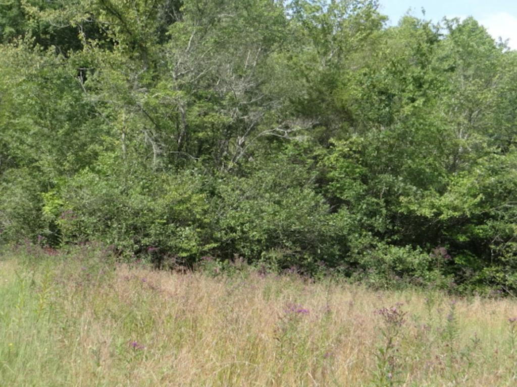 0 Lindell Road Meadowview, VA 24361 - Photo 11 of 27 Photo 11