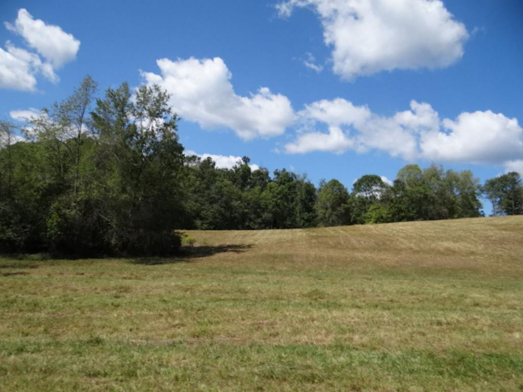 0 Lindell Road Meadowview, VA 24361 - Photo 24 of 27 Photo 24