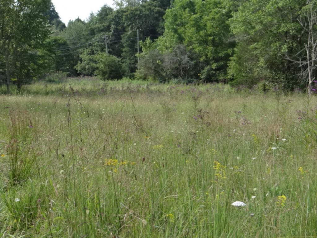 0 Lindell Road Meadowview, VA 24361 - Photo 8 of 27 Photo 8