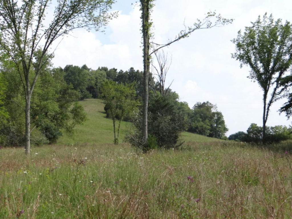 0 Lindell Road Meadowview, VA 24361 - Photo 9 of 27 Photo 9