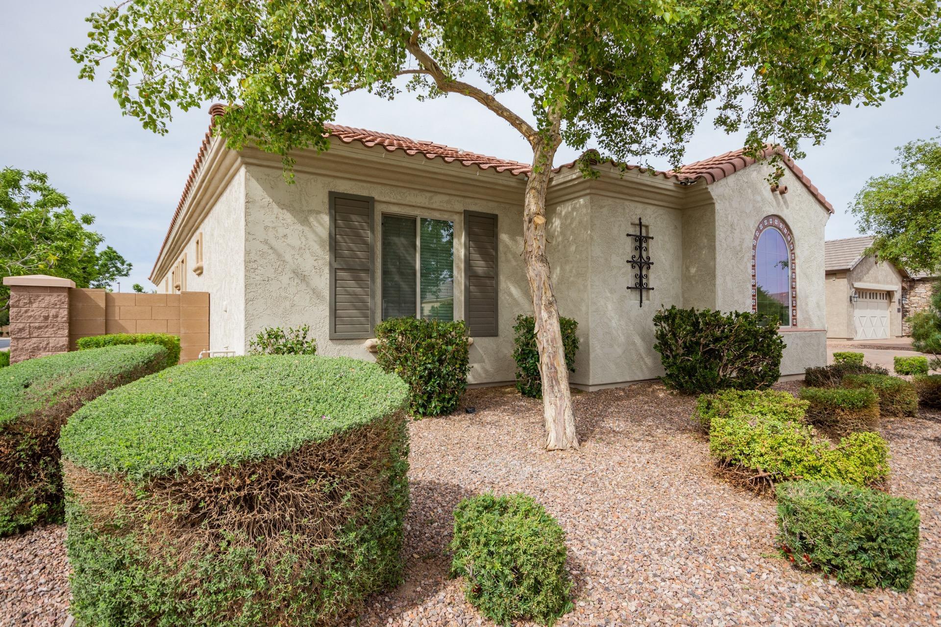 22286 East Rosa Road Queen Creek, AZ 85142 - Photo 34 of 40 Rosa-3