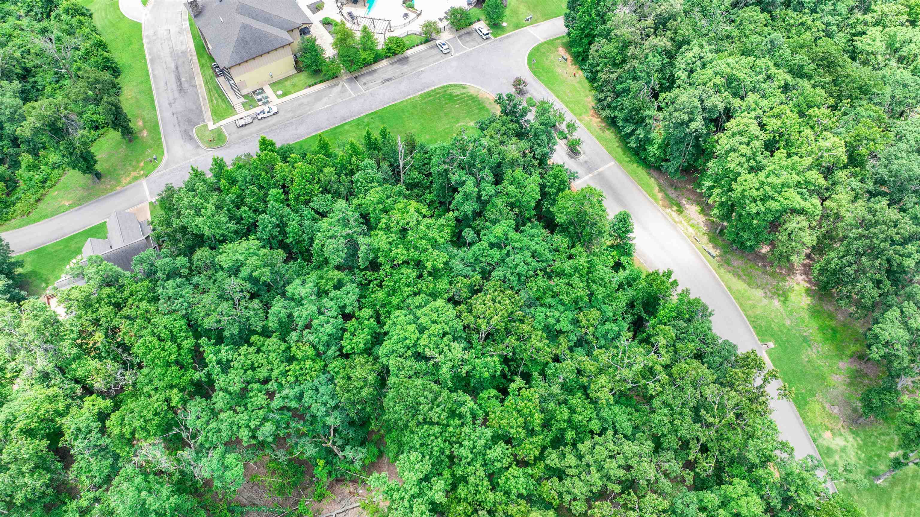 59 Breathtaking Loop Savannah, TN 38372 - Photo 6 of 34