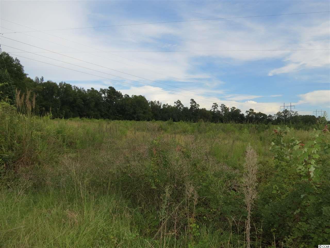 3 Tupperware Road Hemingway, SC 29554 - Photo 1 of 10