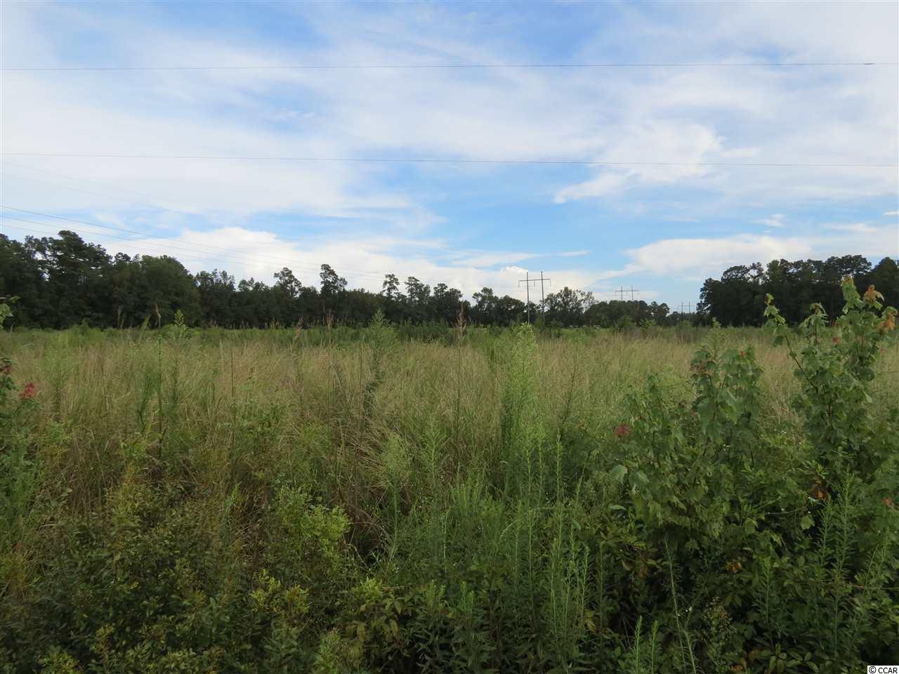 3 Tupperware Road Hemingway, SC 29554 - Photo 2 of 10
