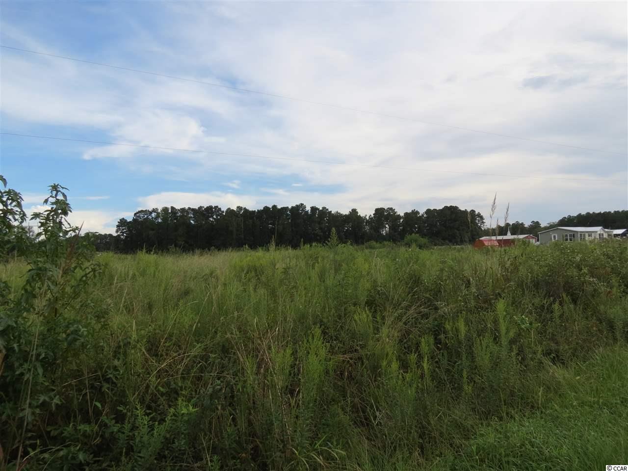 3 Tupperware Road Hemingway, SC 29554 - Photo 6 of 10
