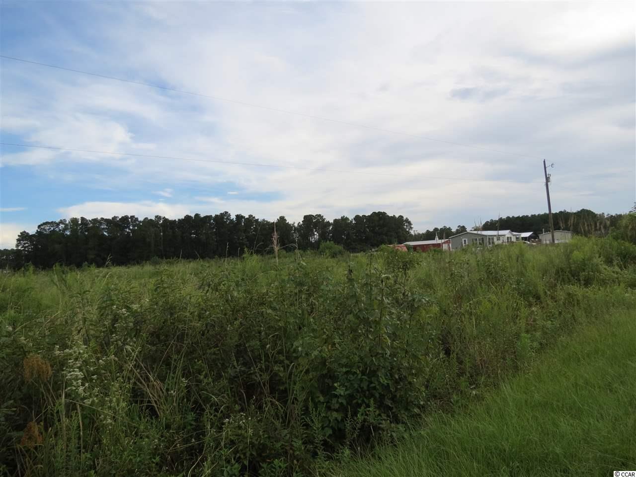 3 Tupperware Road Hemingway, SC 29554 - Photo 7 of 10