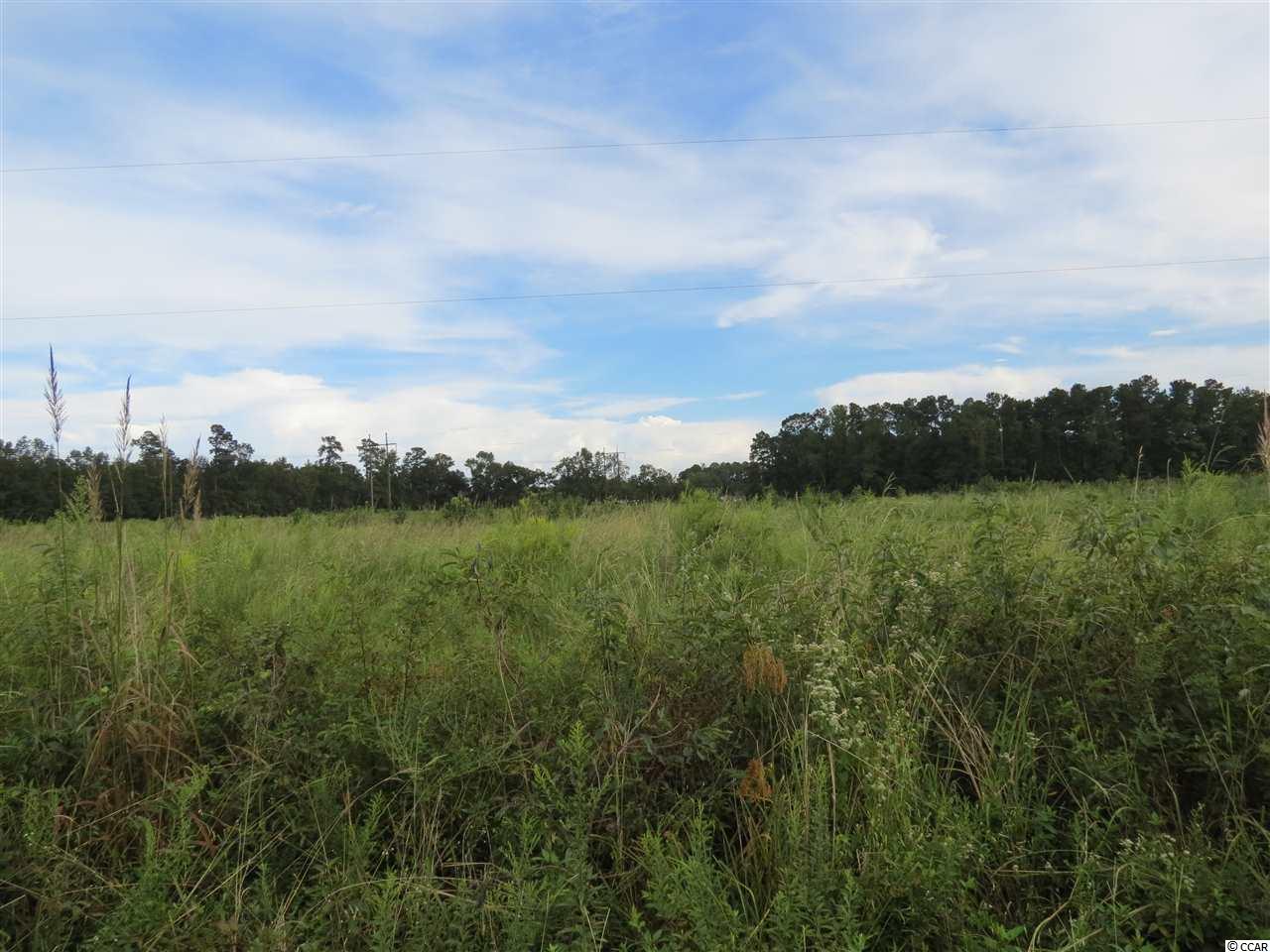 3 Tupperware Road Hemingway, SC 29554 - Photo 8 of 10