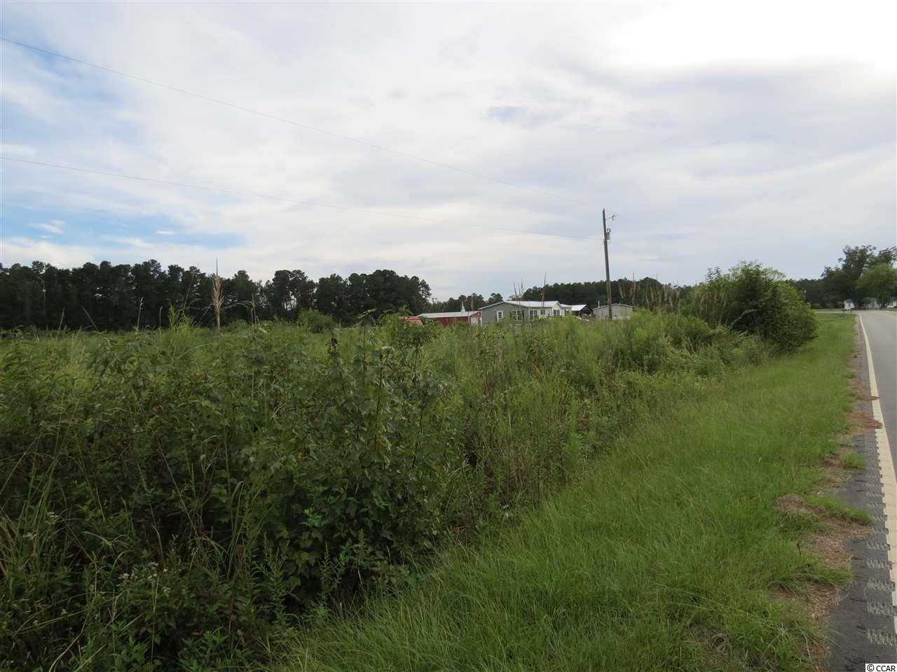 3 Tupperware Road Hemingway, SC 29554 - Photo 9 of 10