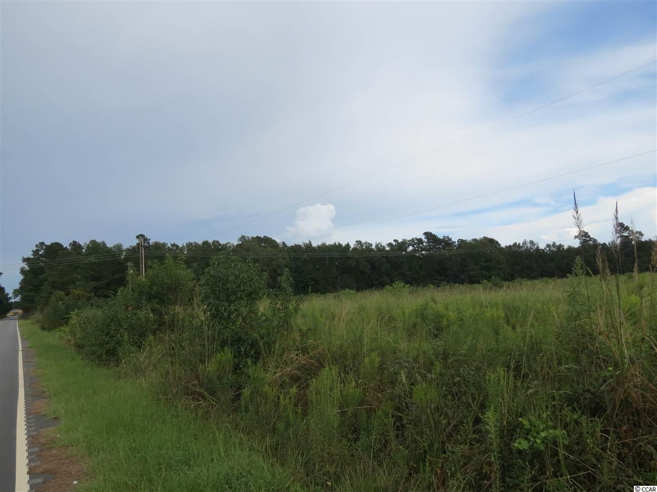 3 Tupperware Road Hemingway, SC 29554 - Photo 10 of 10