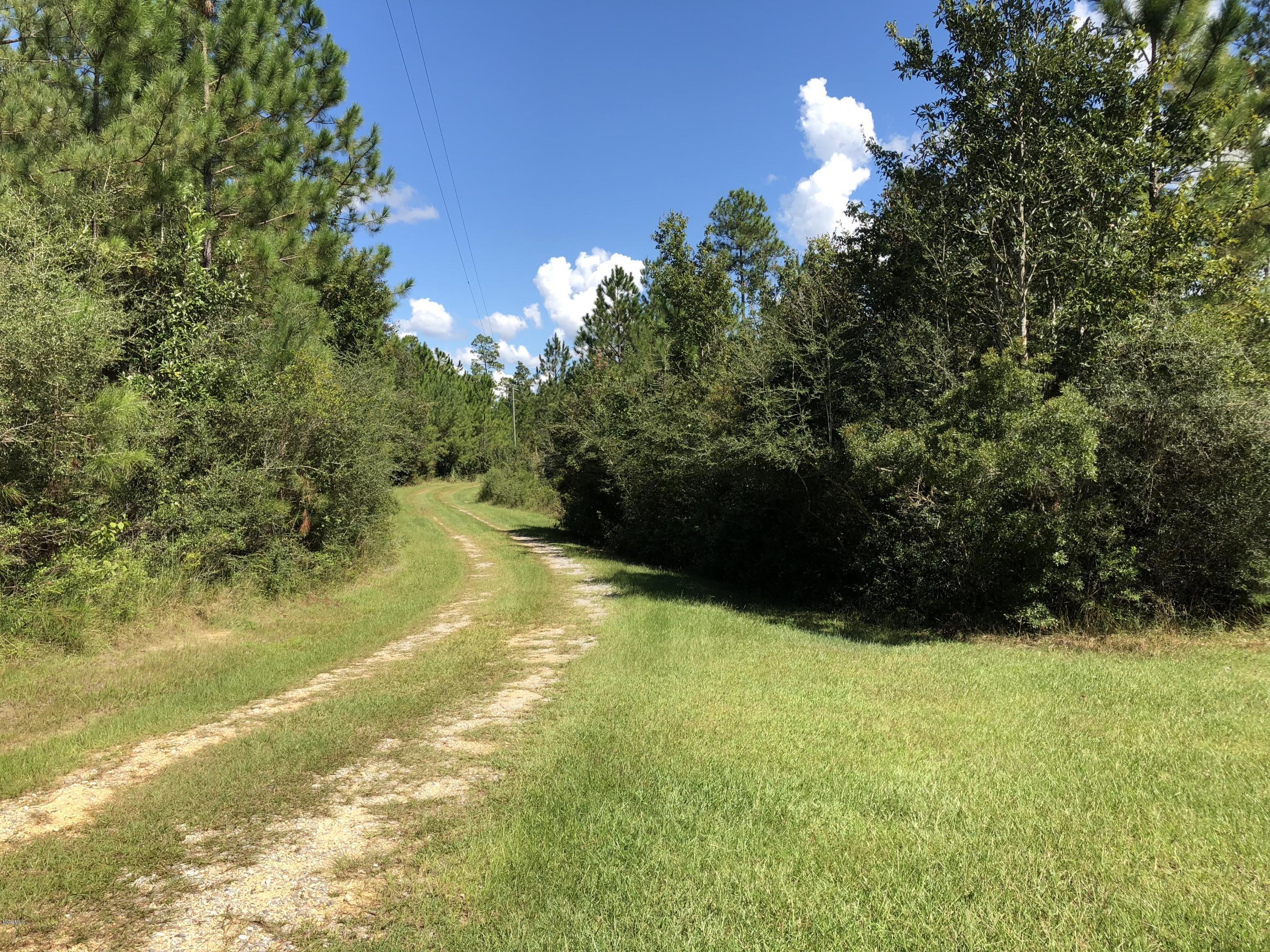 105 Pasture Road Perkinston, MS 39573 - Photo 26 of 26 IMG_6029