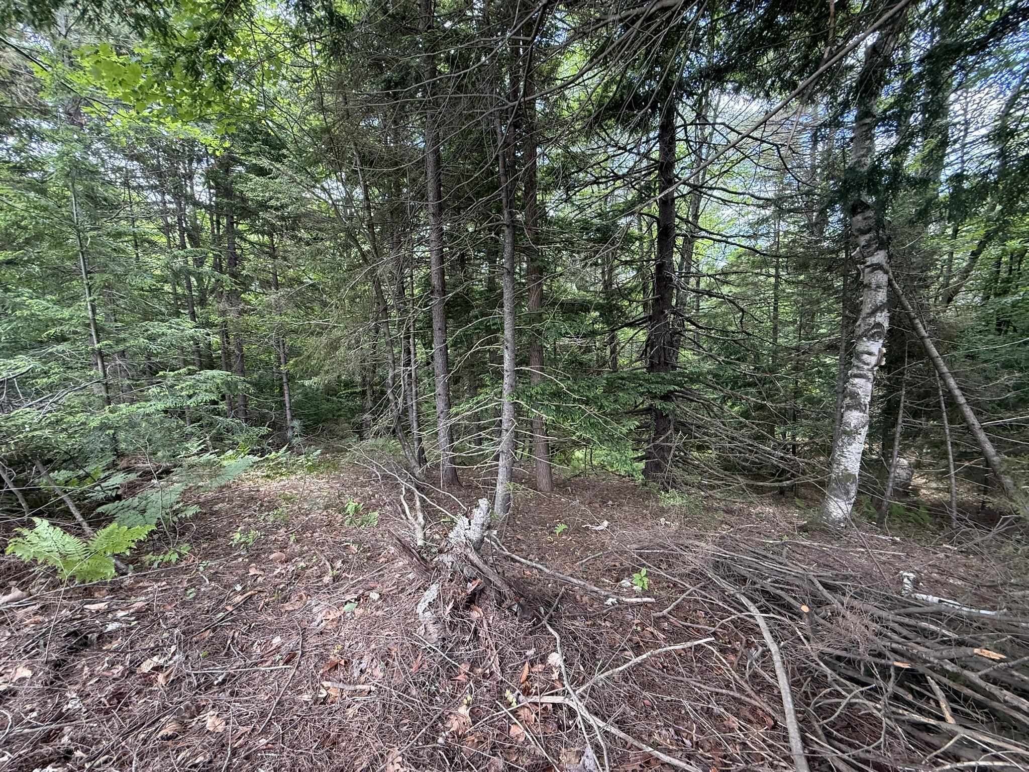 0 Brook View Road, Unit 38 Newport, NH 03773 - Photo 13 of 15