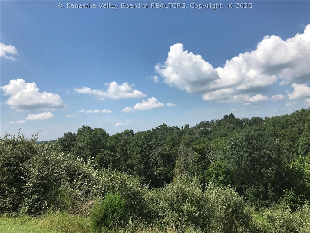Lot 1 Town View Road Ripley, WV 25271 - Photo 1 of 10 Gallery Image 1