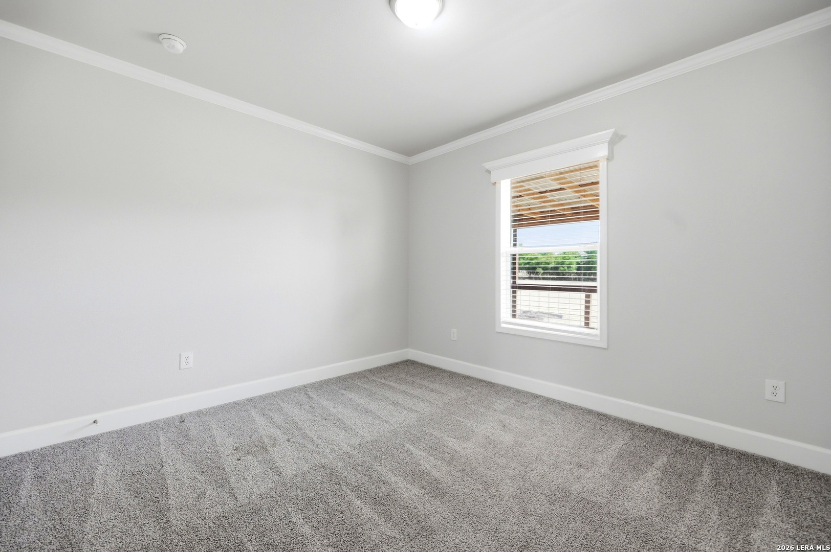 889 Rust Ranch Road Blanco, TX 78606 - Photo 21 of 31