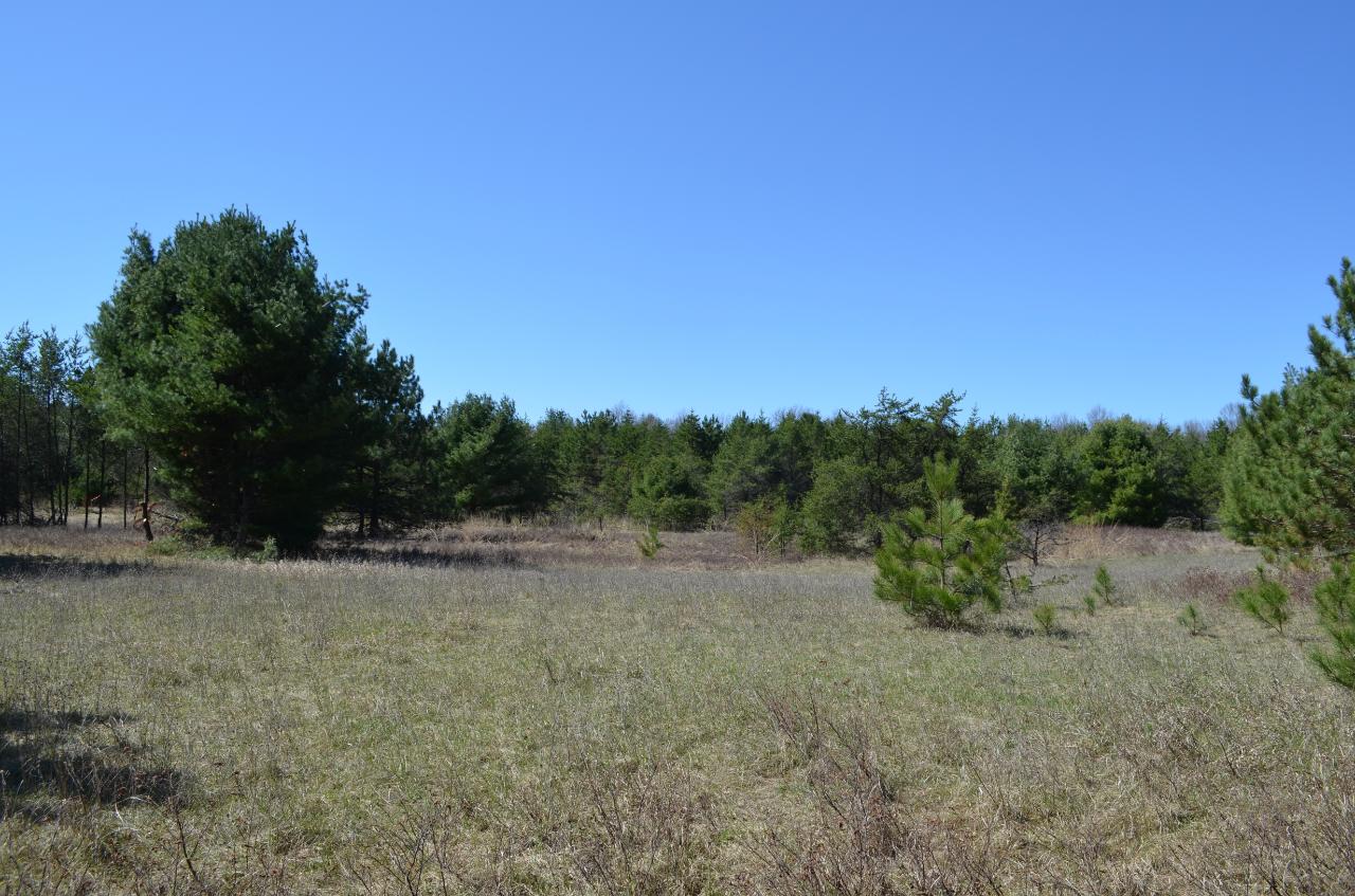 Lot 5 Point O Pines Road Tomahawk, WI 54487 - Photo 11 of 25 Gallery Image 11