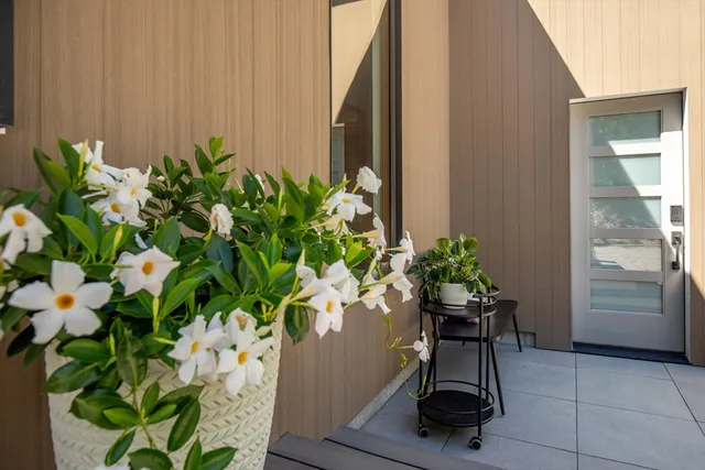 a potted plant sitting in front of a house